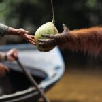 Kalian pasti telah memahami